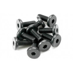 Team Magic 3x8mm SBH Screw 10p