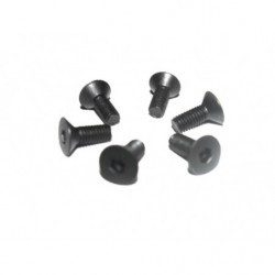 3 * 8 Flat Head Screws 6P