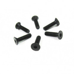 3 * 12 Flat Head Screws 6P