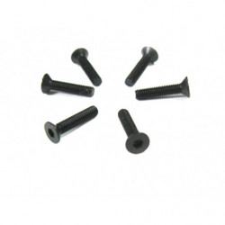 3 * 14 Flat Head Screws 6P