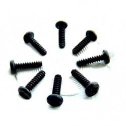 BT2 * 8 BH Screws 8P